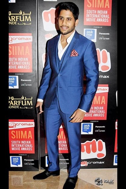 Celebs-at-SIIMA-Awards-2015